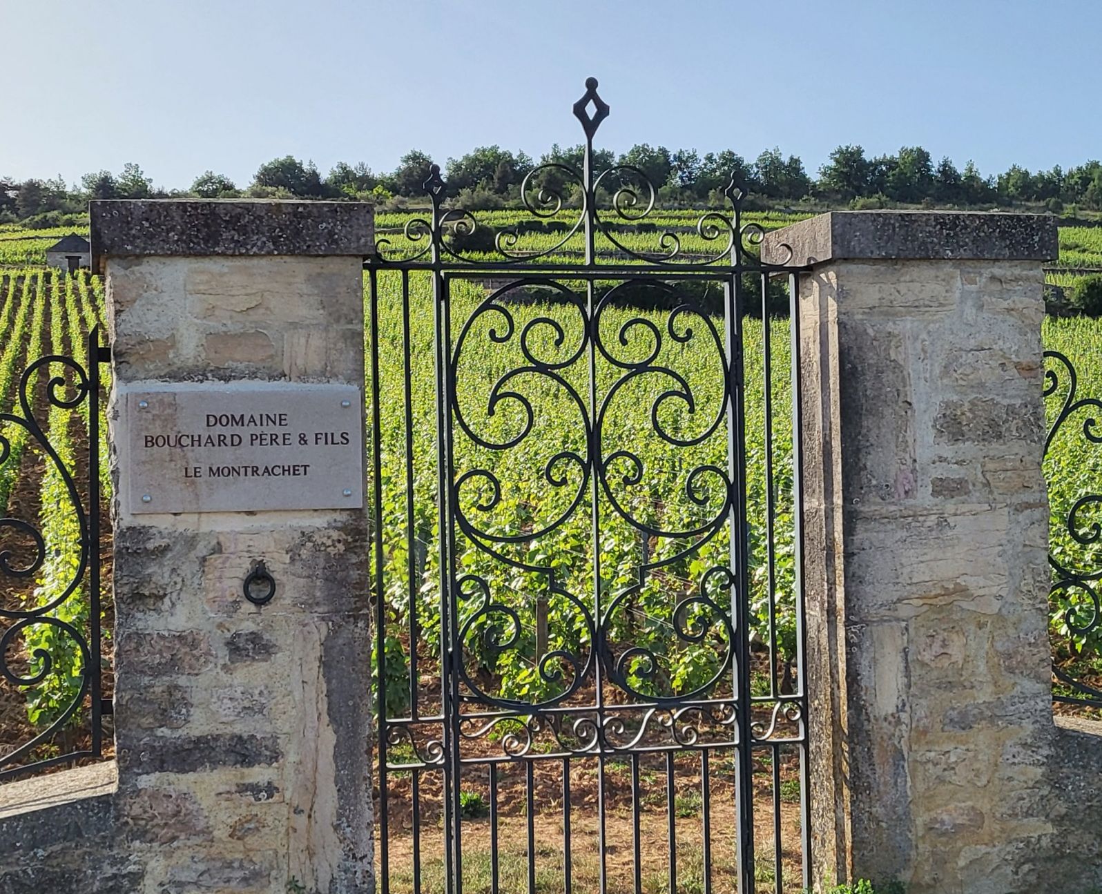 The gates of a Montrachet vineyard