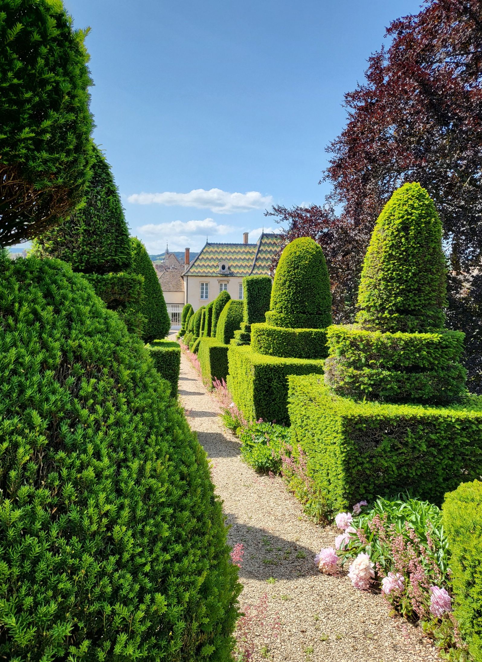 Burgundy Hospices de Nuits Auction