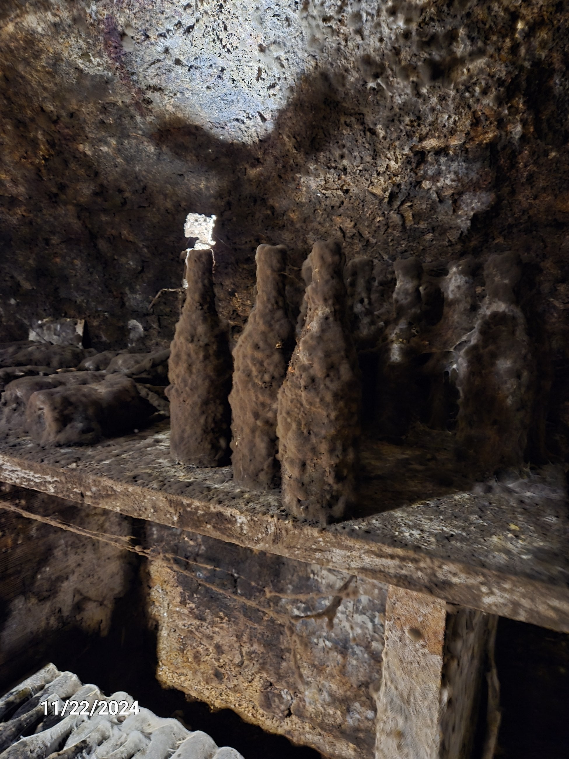 Old bottles resting in a cellar