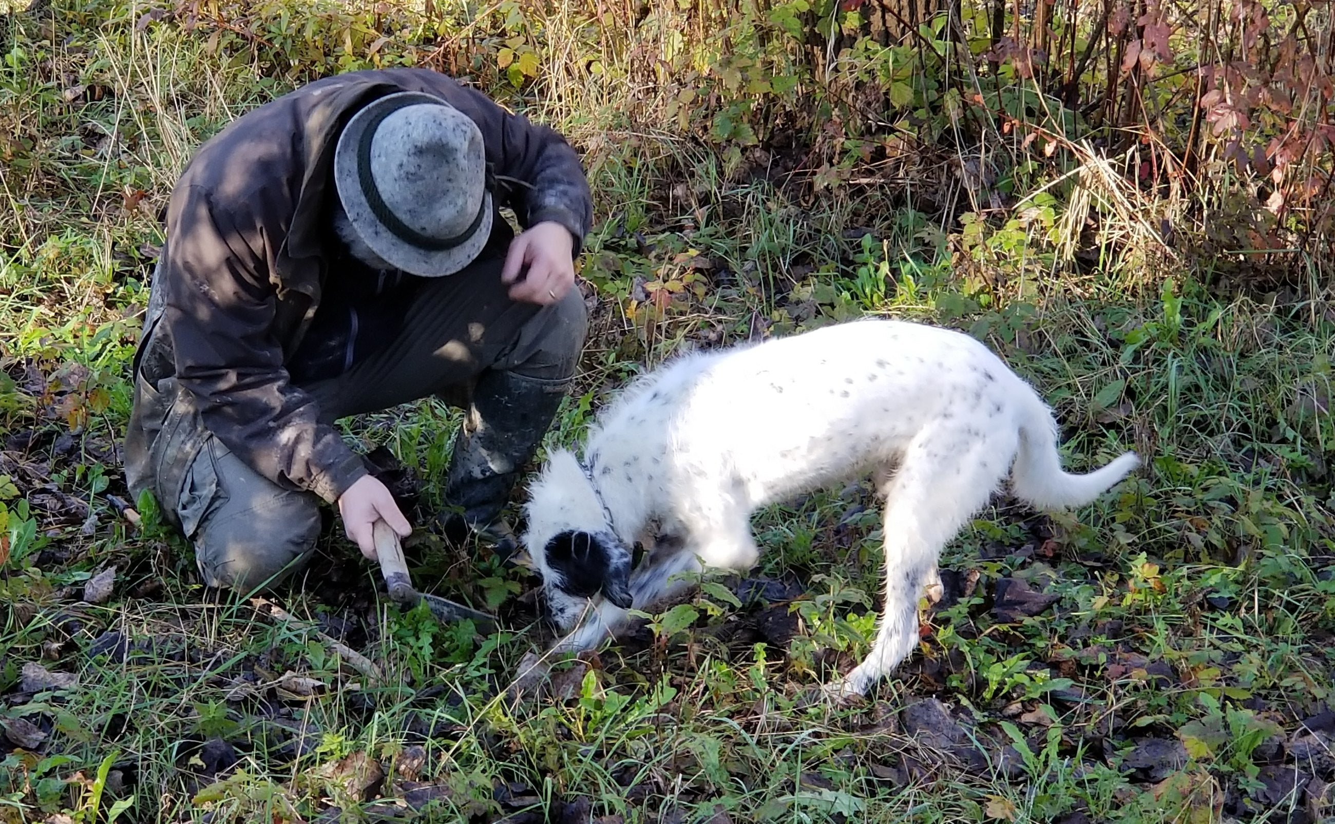 A truffle hunter and his dog
