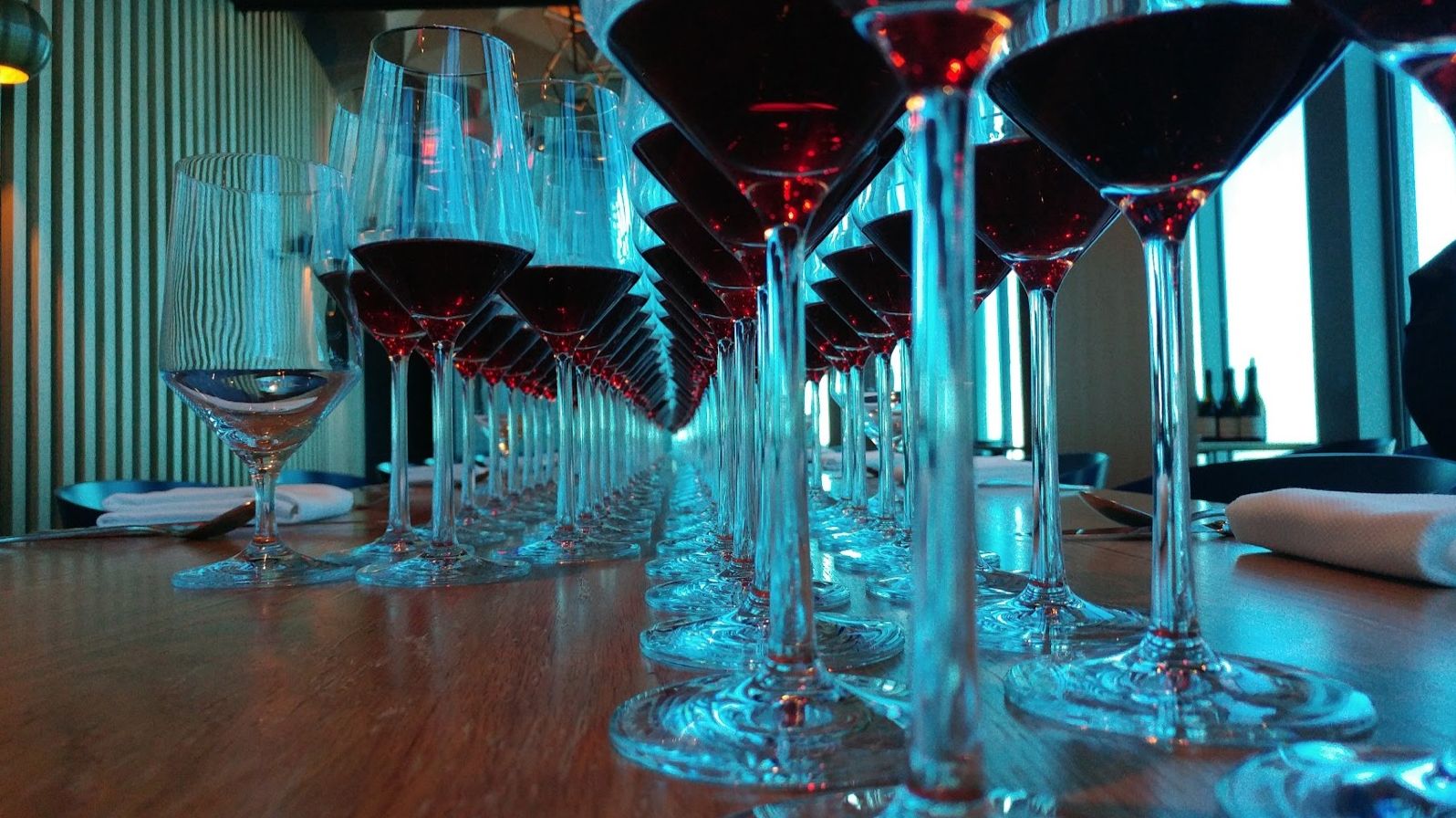 Rows of wine glasses at a tasting
